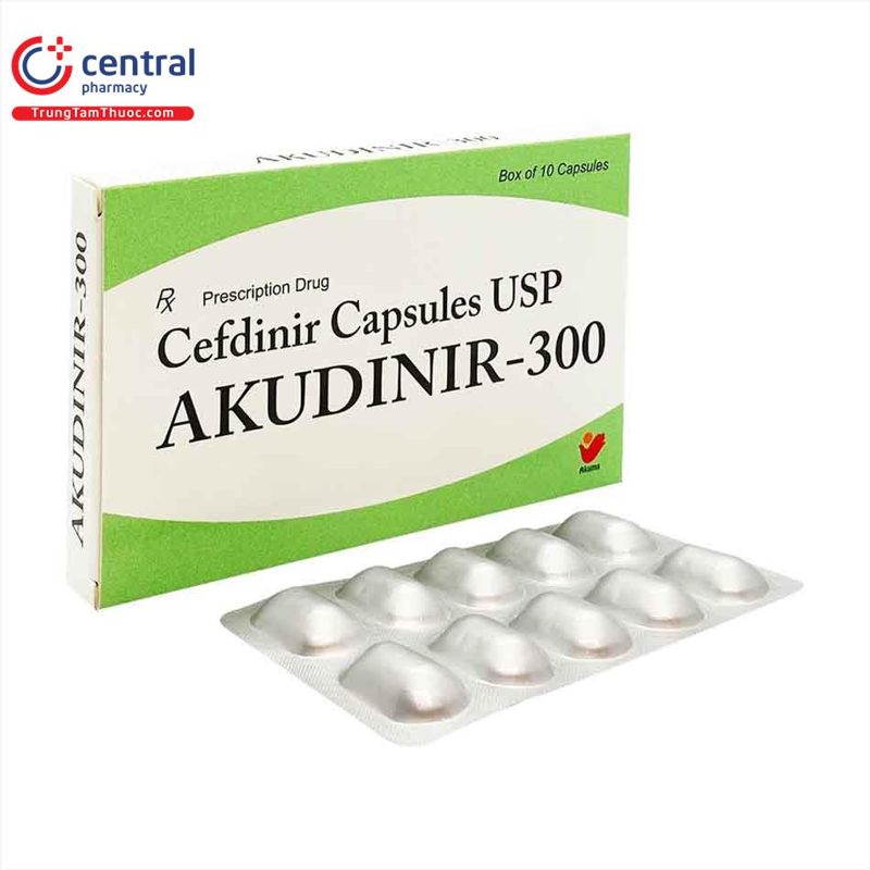 AKUDINIR 300 10S